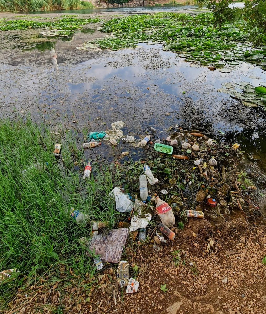 Hem Nilüfer Gölü hem de Nilüfer Çiçeği tehlikede